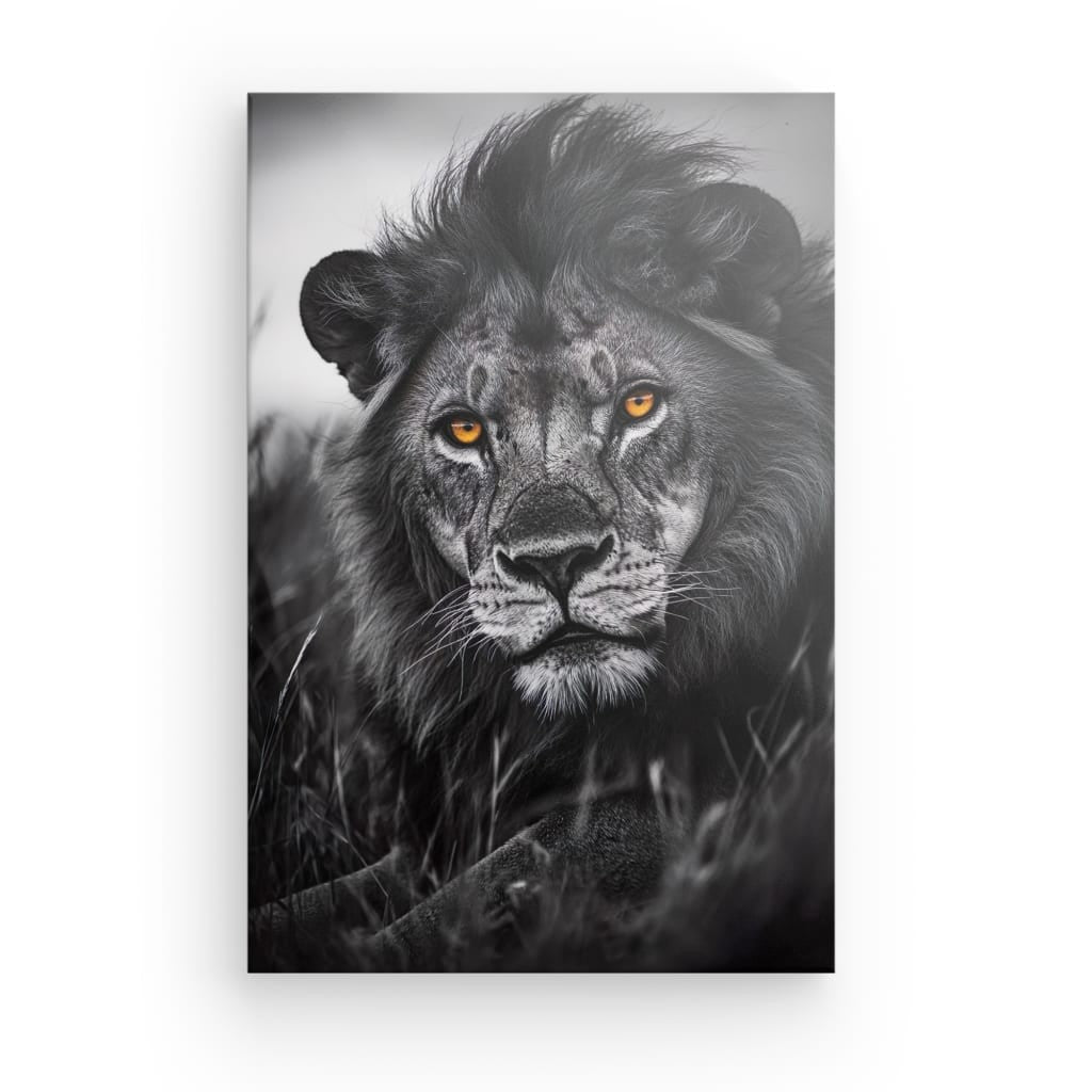 Wandbild Löwe Wilder Blick