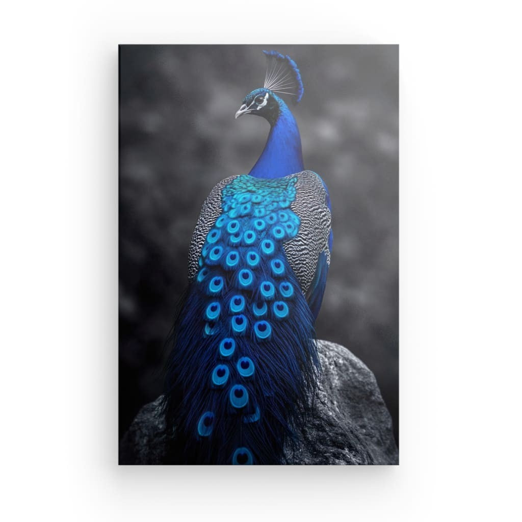 Wandbild Blau Königlicher Pfau